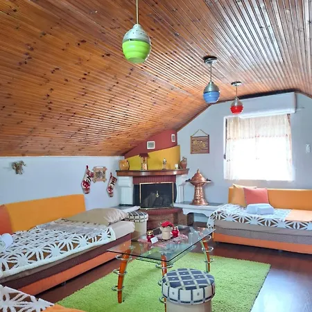 Cozy Guest house *